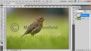 How to add a Watermark using Photoshop CS5