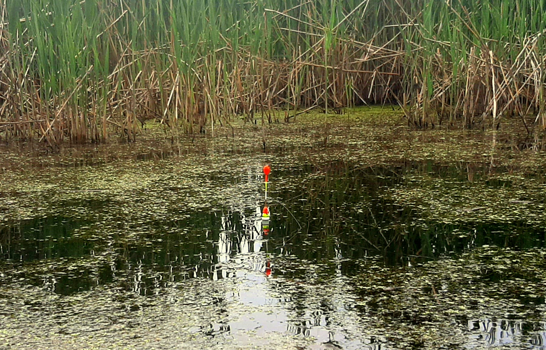 ВОДА КИПИТ ! КАРАСЬ уводит ПОПЛАВОК ! смотреть онлайн