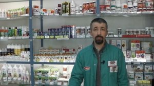 Как правильно бороться с блохами у собак