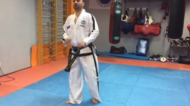 Уроки по традиционному Тхэквондо смотреть онлайн