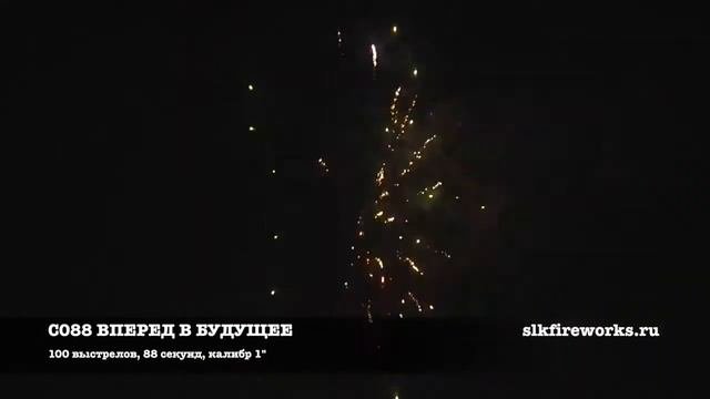 ВПЕРЕД В БУДУЩЕЕ