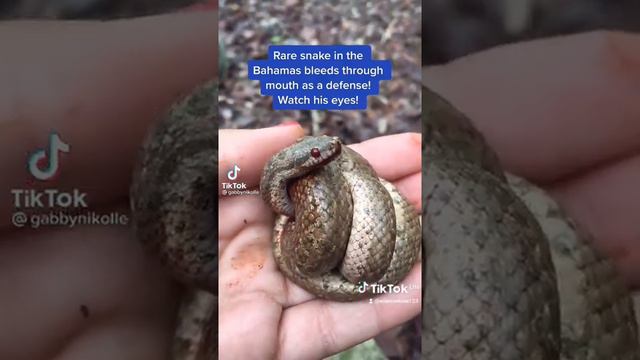 27 November 2021 смотреть онлайн