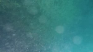 Покатушки на гидроцикле)