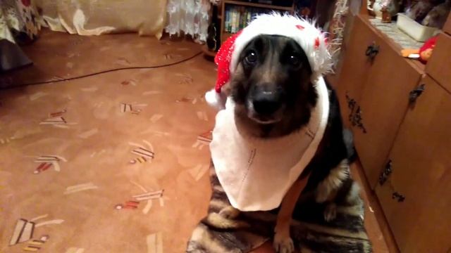 Рэкси Дед Мороз! смотреть онлайн