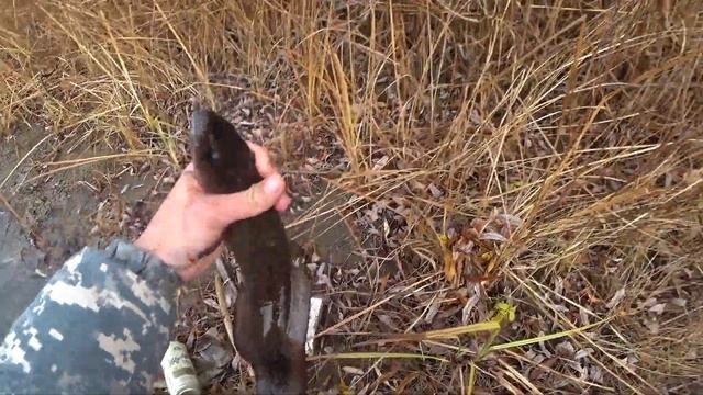 Осенняя ловля налима на малой реке. смотреть онлайн