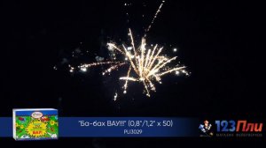Ба-бах-вау! PLI3029