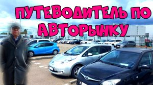 Топ автомобилей на авторынке. Выбираем идеальную машину для Вас