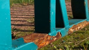 iPhone 8 Plus: Камера