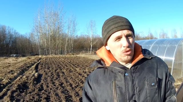 Мотоблок МТЗ  Беларус  : впечатления, спустя год работы мотоблоком