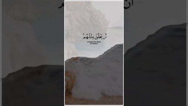 ركعةُ وترٍ ، قد ينجيك بها اللهُ من ضيقك او يستجيب لك بها دعائك ، أو يُطمئِنُ بها روحك وقلبك فقط ركع