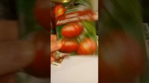 Обзор Сортов томатов для Урала 2019!!!