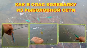 КАК Я СПАС ПРИМАНКУ ИЗ РЫБОЛОВНОЙ СЕТИ.