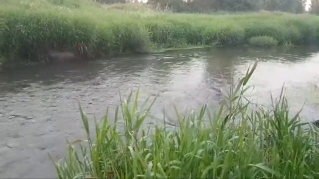 РИТУАЛ ДЛЯ ЖЕНЩИН... ТРИ БОГИНИ смотреть онлайн