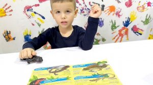 РЕДКИЕ САЛАМАНДРЫ Тритоны Деагостини КАКАЯ ИЗ НИХ СИЛЬНЕЕ? ВИДЕО ДЛЯ ДЕТЕЙ