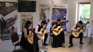 П.И. Чайковский - "Вальс цветов" на гитаре ~ P.I.Tchaikovsky - Waltz of the Flowers. guitar version