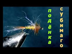 Подёнка  в поисках хариуса и ленка