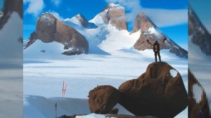 Антарктида. Земля Королевы Мод. Волчий клык или Птичий язычок?