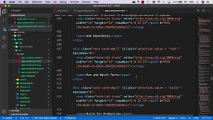 073 Reviewing the Angular project files in the template