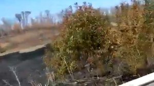 Мариуполь 05.09.2014 разбитый танк на блокпосту на трассе Новоазовск его двигатель работает