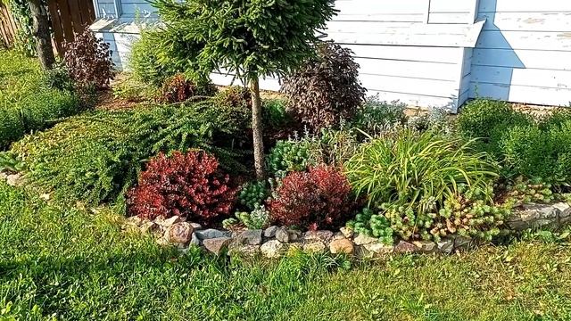 Растения агрессоры, часть 3 смотреть онлайн