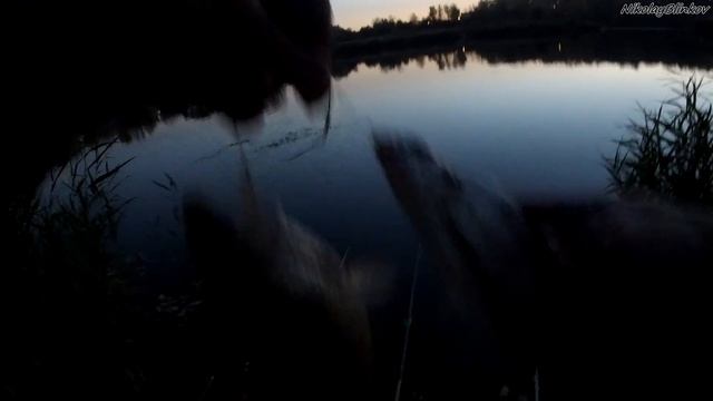 Отменный клёв в полнолуние/ Рыбалка в октябре на р Илек/ ондатра в гостях г Актобе 2020 г смотреть онлайн