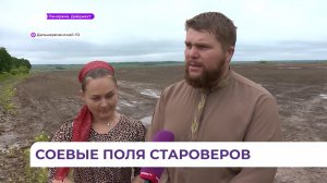 Семья староверов из Дальнегорского округа засеяла более 200 гектаров сои