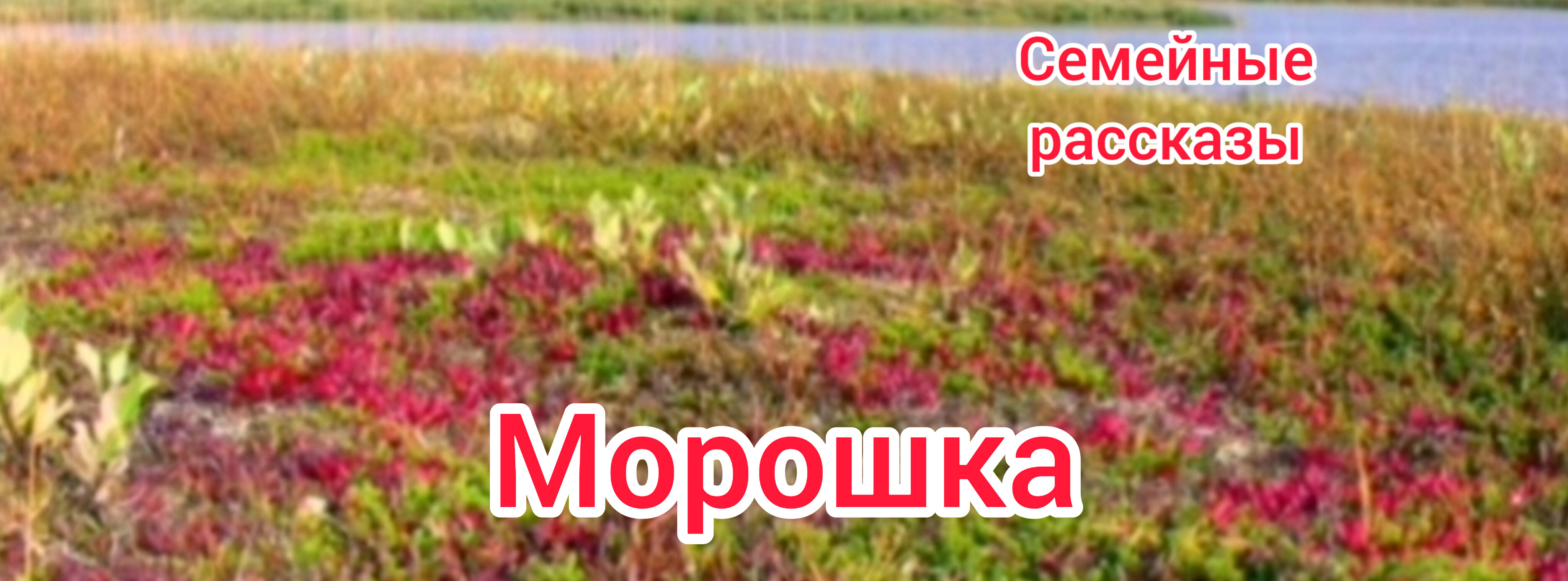 Морошка.