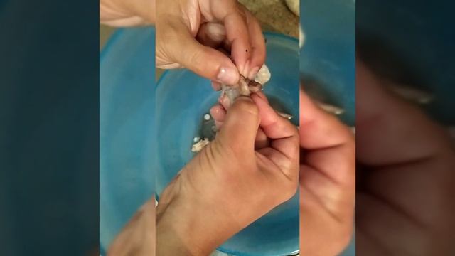 Как чистить и жарить кальмары