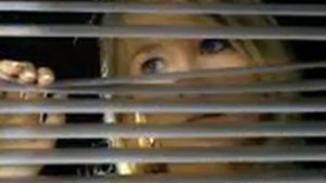 трофимов снегири 0001 flv