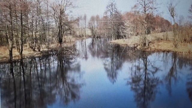 Пинск. Pinsk. д.Стытычево. Беларусь. смотреть онлайн