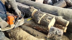 Китайский Штиль 341 Пилим Сосну. Штиль с Китай ЦПГ и Карбюратором.