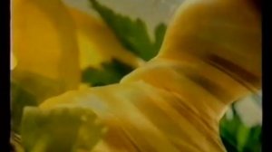 Махеевъ. Майонез с лимонным соком. 2006. Реклама [ru]