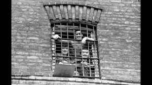 Блатной жаргон и феня