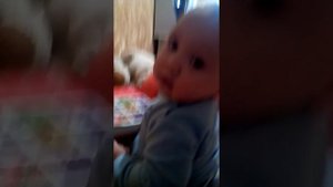 Дети рвут книги ужас.