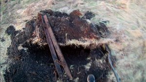 ПОЛУТРО ЧАСОВАЯ ВЕЧЕРНЯЯ ПРОГУЛКА С МЕТАЛЛО ИСКАТЕЛЕМ