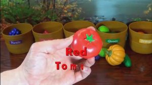 Learn Colors with Fruits & Veggies!