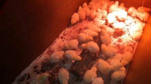 Понос у цыплят. Лечение Левомицетином