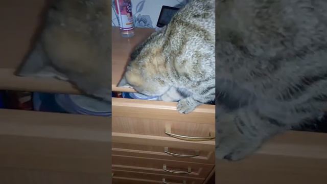 Домашний скалодром