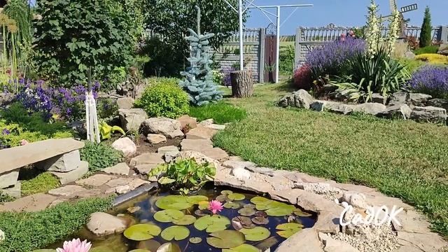 Усі пори року ділянки біля водойми.Німфеї, догляд за водними рослинами і не тільки.Міксбордер смотреть онлайн