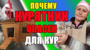 Почему КУРЯТНИК ОПАСЕН для кур.