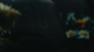 самый страшный фильм ужасов ( ВЫСШАЯ ФОРМА )