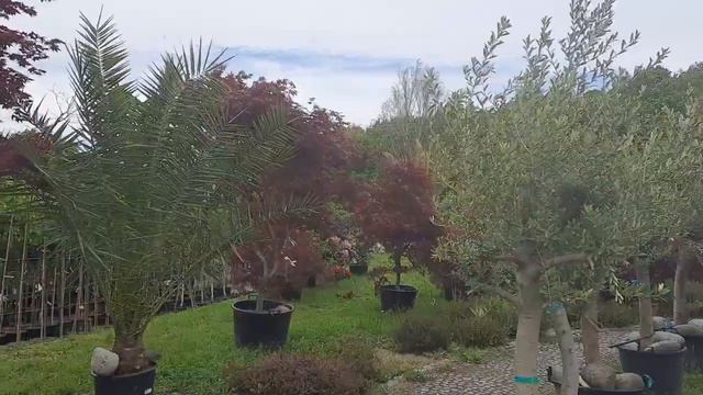 Польша.Райское местечко... смотреть онлайн