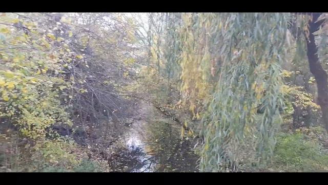 НЕБОЛЬШОЙ ВЫПУСК. ПРОГУЛКА КРАНОВЩИКА. ГЕРМАНИЯ смотреть онлайн