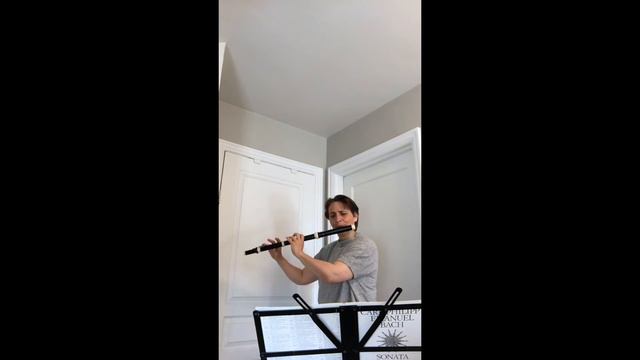 C.Ph.E. Bach, Solo Sonata in a-minor for solo flute смотреть онлайн