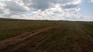 19.07.2023г. Сенокос.