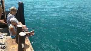 Ловля ставриды в Абхазии