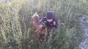 Асы Ясы Осетины Аланы Алано Эспаньол