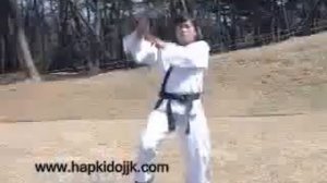 Hapkido KHF JJKwan демо