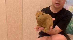 Обзор на мягкую игрушку Капибара ?