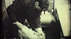 1981 г. САТИРИЧЕСКИЙ ЖУРНАЛ Фитиль № 3 СПЕКУЛЯНТОВ К ОТВЕТУ